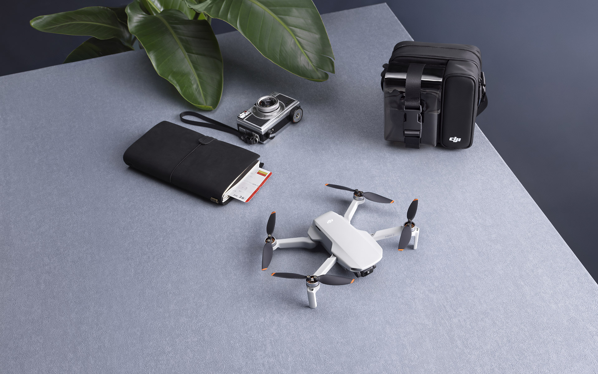 Buy DJI Mini 2 Drone in Estonia