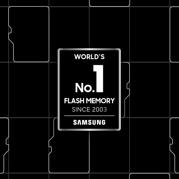ModelForce buy memory card Samsung SDXC PRO Endurance 32GB V10 in Estonia