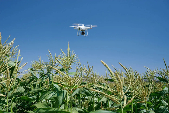 Precision Agricultural Operations
