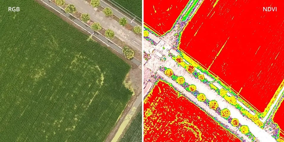 Built-in spectral sunlight sensor