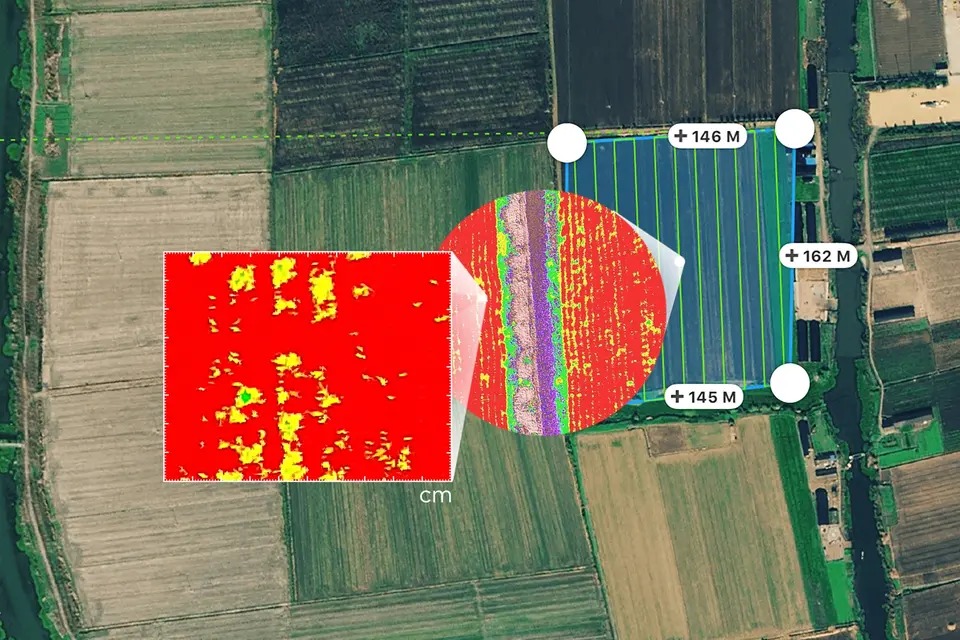 Data Accuracy