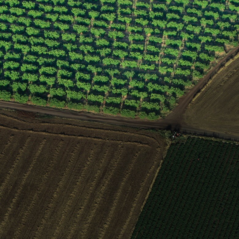 Agriculture